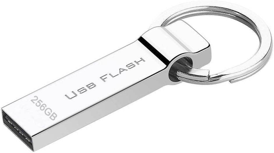 RUICHENXI Waterproof 256GB USB Flash Drive Pen Drive Memory Stick with Keychain (256gb)