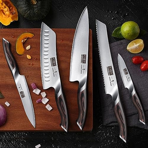 HOSHANHO 6 Piece Kitchen Knife Set, Professional Chef Knife Set, Stainless Steel Kitchen Knife Set with Magnetic Knife Holder