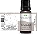 Plant Therapy Rapid Relief Synergy (Formerly Known As Pain-Aid) Essential Oil Blend. 100% Pure, Undiluted, Therapeutic Grade Essential Oils. 10 ml (1/3 oz).