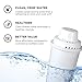 Commercial Cool Brita Filter Replacements, Replacement Water Filters for Standard Brita Water Pitcher, Lasts Up To 60 Gallons, NSF Certified, CCWFB6, White, 6-Pack