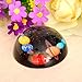H&D Crystal Solar System Dome Paperweight Table Centerpiece 80mm