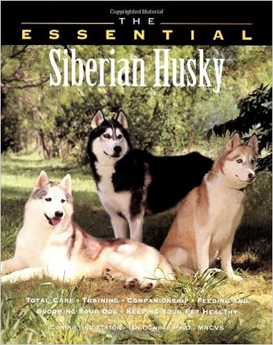 The Essential Siberian Husky (Howell Book House�fs Essential) �y�[�p�[�o�b�N  - �v��, 1999/8/2