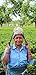 Chai Tea Loose Leaf (50+ Cups) - Fresh Harvest - Finest Assam CTC Blended with Organic Cardamom, Ginger, Cloves and Cinnamon - Shipped Directly from Our 5th Generation Tea Estate in India - 3.5 oz Gift Pouch