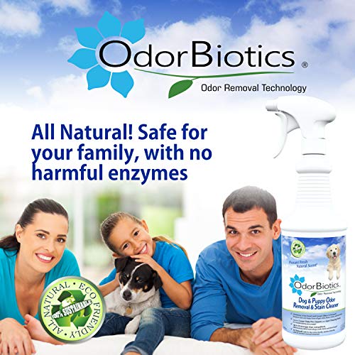 image for OdorBiotics Pet Stain & Odor Remover - Use for Dog Bedding Playpens Cr
