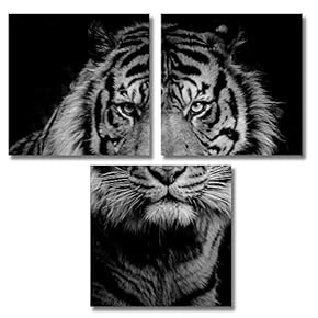3 Piece Canvas Wall Art for Living Room Bedroom Home Artwork Animal Paintings Ready to Hang - 12"x12"x3 Panels