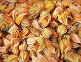 Earthcare Seeds Aunt Molly's Ground Cherry 50 Seeds Physalis pruinosa (Certified Organic By MOSA)