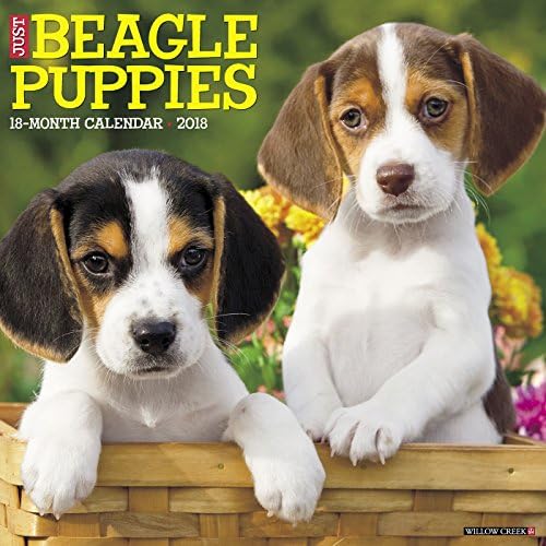 Just Beagle Puppies 2018 Calendar Calendar – Wall Calendar, July 5, 2017