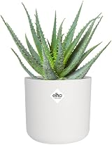 elho B.for Soft Round 22 Indoor Plant Pot 100% Recycled Plastic Ø22.3 x H20.4 cm view 7