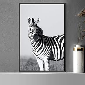 signwin Framed Canvas Wall Art Duotone Zebra Animals...