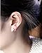 Small Cubic Zirconia Hoop Earrings,Sterling Silver Plated Rhinestones Crystal Hoops Earrings