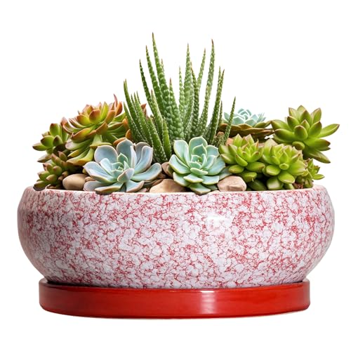 Epfamily Succulent Pots