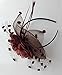 Coolwife Womens Fascinator Veil Flower Cocktail Tea Party Headwear (Coffee)