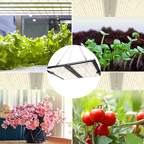 WAKYME J2000W LED Grow Light Dimmable, 4x4ft Sunlike Full Spectrum