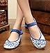 AvaCostume Chinese Traditional Paper Cut Art Embroidery Flats Mary Jane Shoes 38 White