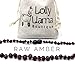 Raw Baroque Baltic Amber Teething Necklace for Babies (Unisex) Drooling & Teething Pain Relief - Certified Genuine Baltic Amber Chip Bead by Lolly Llama - Dark Cherry (13 Inch)