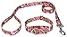 Country Brook Petz - Pink Paisley Martingale Dog Collar and Leash - Paisley Collection Featuring Classy Designs (1 Inch, Medium)