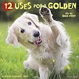 12 Uses for a Golden 2019 Wall Calendar (Dog Breed Calendar) by 