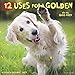 12 Uses for a Golden 2019 Wall Calendar (Dog Breed Calendar) by 