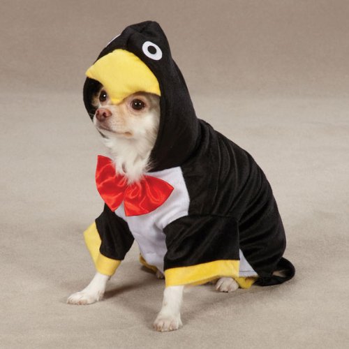 Zack & Zoey Penguin Pup Pet Costume - Black