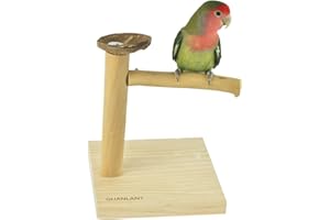 GUANLANT Natural Wood Bird Table Perch Stand,Budgies Training Toys with Feeding Bowl for Small Animals Conures Cockatiels Lovebirds