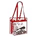 BAGAIL Clear Cross-Body Messenger Shoulder Zippered Bag w Adjustable Strap, NFL & PGA Stadium Security Approved Travel & Gym Clear Tote Bag-12” X 12“ X 6” (Red)