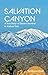 Salvation Canyon: A True Story of Desert Survival in Joshua Tree by 