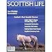 Scottish Life
