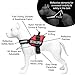 Industrial Puppy Emotional Support Vest Harness with Hook, Loop Straps and Handle, 2 Reflective Emotional Support Self-Adhesive Straps, Detachable, ESA Matching Leash Set, Dog Accessories, XXS, Red