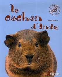 Le  cochon d'Inde