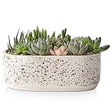 LIFVER Succulent Pots, 9 Inch Ceramic Large