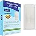 Genuine Filter Bros Replacement Filter for Blueair 400 Classic Series (402, 403, 405, 410, 450E, 455EB, 480i) HEPA Particle Filters Dander, Dust, Odors for Fresh Air and a Blue Sky (Particle)
