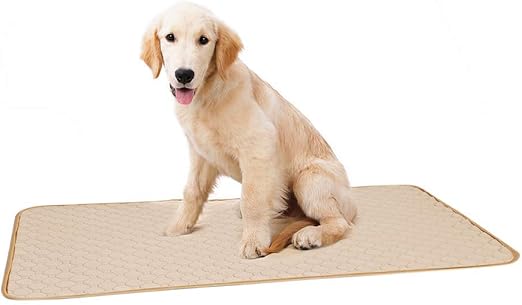 SPDYCESS Toallitas de Entrenamiento para Mascotas,Empapadores Perros, Súper Absorción Lavable en la Lavadora Reutilizable Impermeable,para Perro, Gatos, Cachorros: Amazon.es: Productos para mascotas