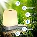 Wake Up Night Light，Touch Control Alarm Clock with Light,Sunrise Simulation and 5 Natural Sounds, USB Rechargeable RGB Wake Up Light with 3 Brightness Levels for Bedroom Reading