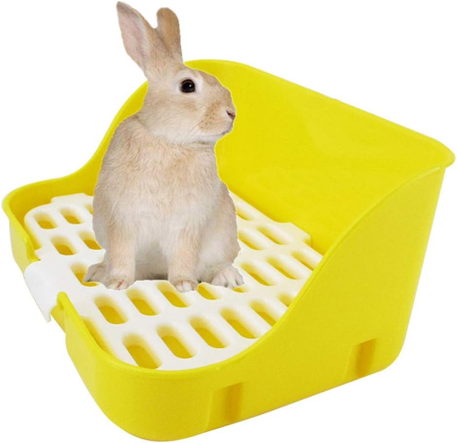 can you use cat litter in a guinea pig litter box