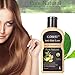Anti-Hair Loss Shampoo, Hair Regrowth Shampoo, Natural Old Ginger Hair Care Shampoo Effective Solution for Hair Thinning & Breakage - Hair Regrowth Products for Men & Women