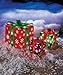 Set of 3 Lighted Gift Boxes Snowflakes Red Green Purple Yard Decoration Christmas