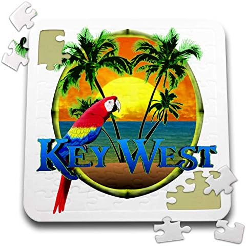3dRose Macdonald Creative Studios – Key West - A Key West Florida Beach Sunset and Tropical Parrot. - 10x10 Inch Puzzle (pzl_299238_2)