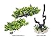 HITOP Aquarium Pets Plastic Plants for Fish Tank Decorations, Artificial Pine Tree Aquarium Décorfor Fish or Reptile
