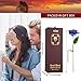 AGM 24k Gold Rose, Real Rose Flower Dipped in Gold with Stand in Gift Box, Gift for Mother's Day, Valentine's Day, Wedding Day, Home Decor(Blue)