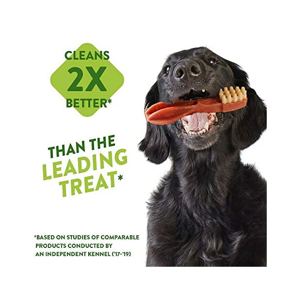 Whimzees-Natural-Dental-Dog-Chews-Long-lasting-Variety-Box-Mixed-Shapes-Medium-28-Pieces WHIMZEES By Wellness Variety Box, Mixed Shapes, Natural and Grain-Free Dog Chews, Dog Dental Sticks for Medium Breeds…