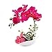 Louis Garden Artificial Silk Flowers 7 Head Simulation Phalaenopsis Arrangements Bonsai (Simulation of Water) (Red)