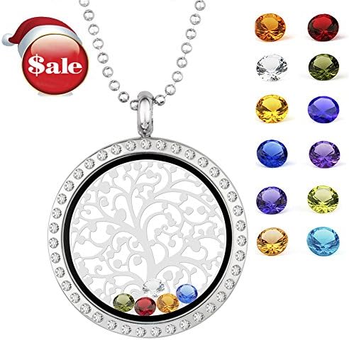 EBOETA Birthstone Pendant Necklace Floating Charm Locket Necklace Gifts for Mom Grandma Sister Friends