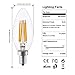 LAKES E12 LED Bulb Dimmable, 4W 2700K Soft White 350LM, 40W Equivalent LED Candelabra Bulbs, C35 Clear Glass Torpedo Shape Bullet Top, 360° Beam Angle, 6-Pack