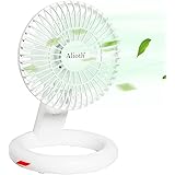 Alioth Mini Oscillating Desk Fan, 4 Speeds USB Powered and Portable Battery Operated Rechargeable Fans, Small Personal Handhe