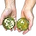 Native Spring No Mess Garlic Press Grater with a Twist, Peels Minces or Crushes for Quick Meal Preparation Green