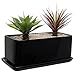 MyGift 10 inch Rectangular Modern Minimalist Glazed Black Ceramic Succulent Planter Pot/Window Box Container with Saucer and Drainage Holes