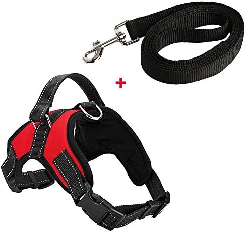 Hundegeschirr Mit 2 Clips (Front/Rücken) – Verstellbar, Größe M, Himmelblau, Zieh-vermeidend