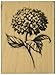 Inkadinkado Hydrangea Flower Mounted Rubber Stamp for Card Making and Scrapbooking, 1pc, 2.25''L x 3''W