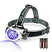 EverBrite Black Light Headlamp UV Blacklight for Spot Scorpions, Pet Urine and Stain Detection, 4 Modes 395-400nm Purple Light with Adjustable Headband, 3 Batteries Included