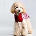 Bolbove Pet Red Snowflake Turtleneck Sweater for Small Dogs & Cats Knitwear (Small)